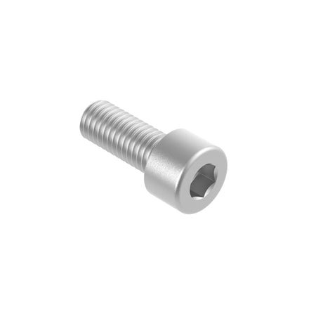 Hexagon socket head cap screw, AISI304, M5x20