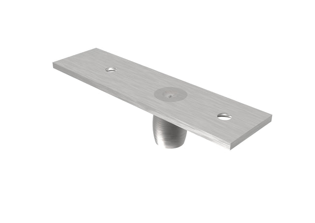 Rozsdamentes felsőpánt tüske üvegajtóhoz.